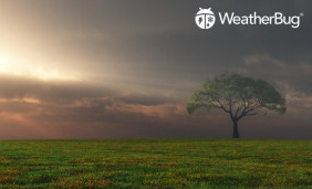 Experience Accurate and Comprehensive Weather Updates With WeatherBug 64-bit Version
